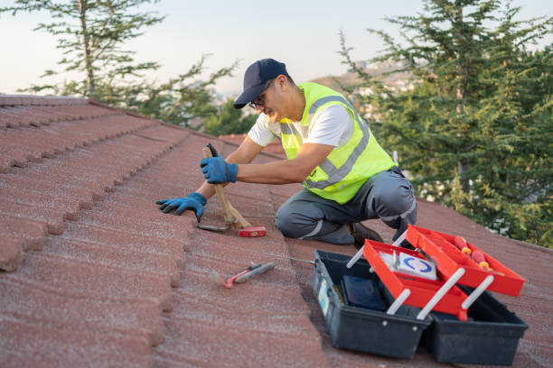 Best New Roof Installation  in Mattawan, MI